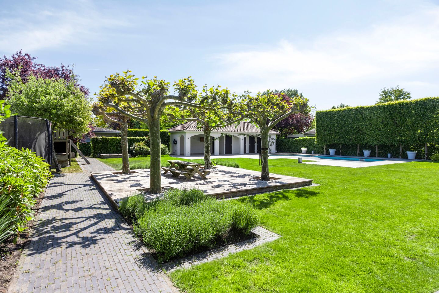 Foto 44 van De Scheifelaar 208