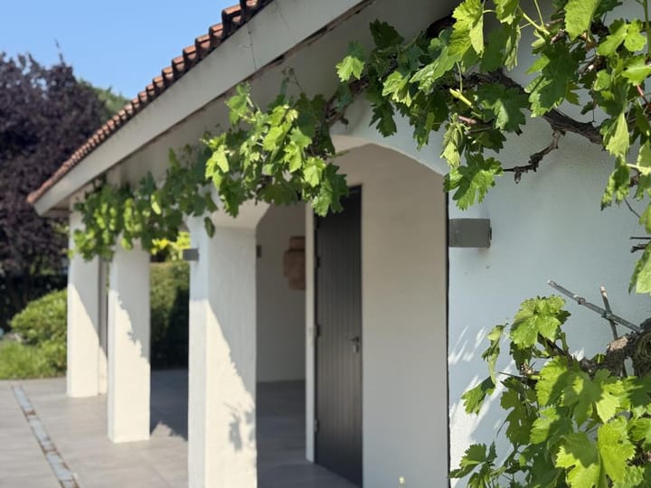 Photo 49 of De Scheifelaar 208