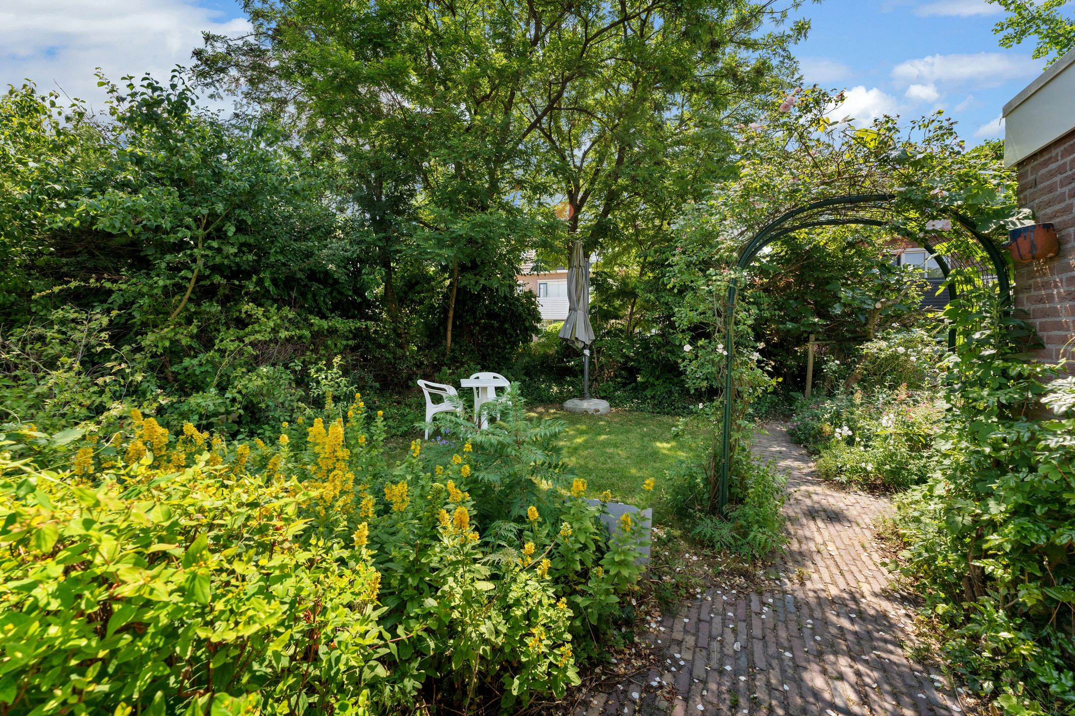 Foto 36 van Bliek 49