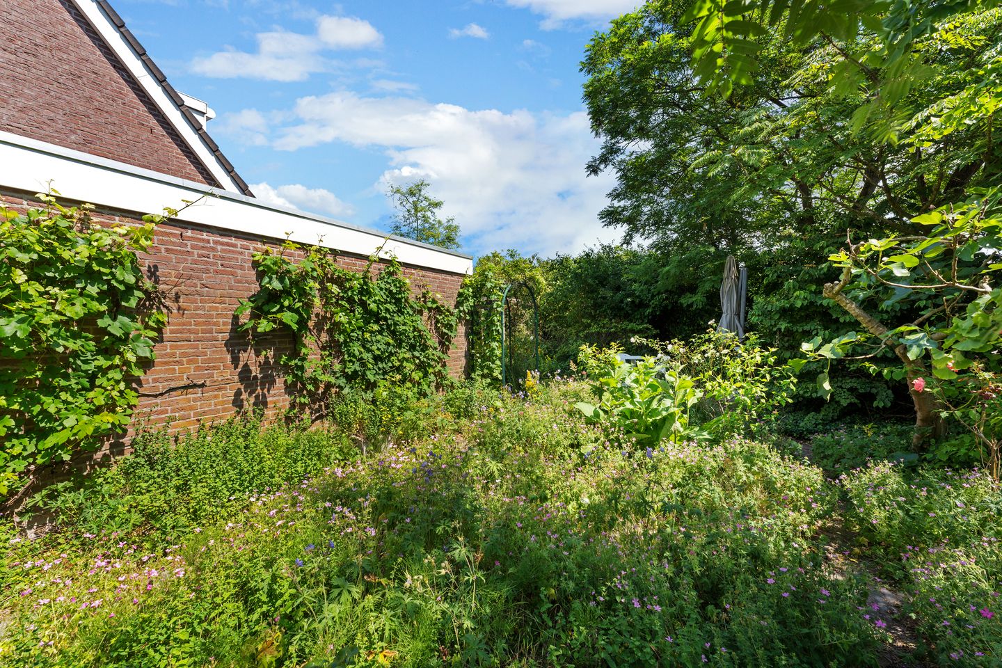 Foto 40 van Bliek 49