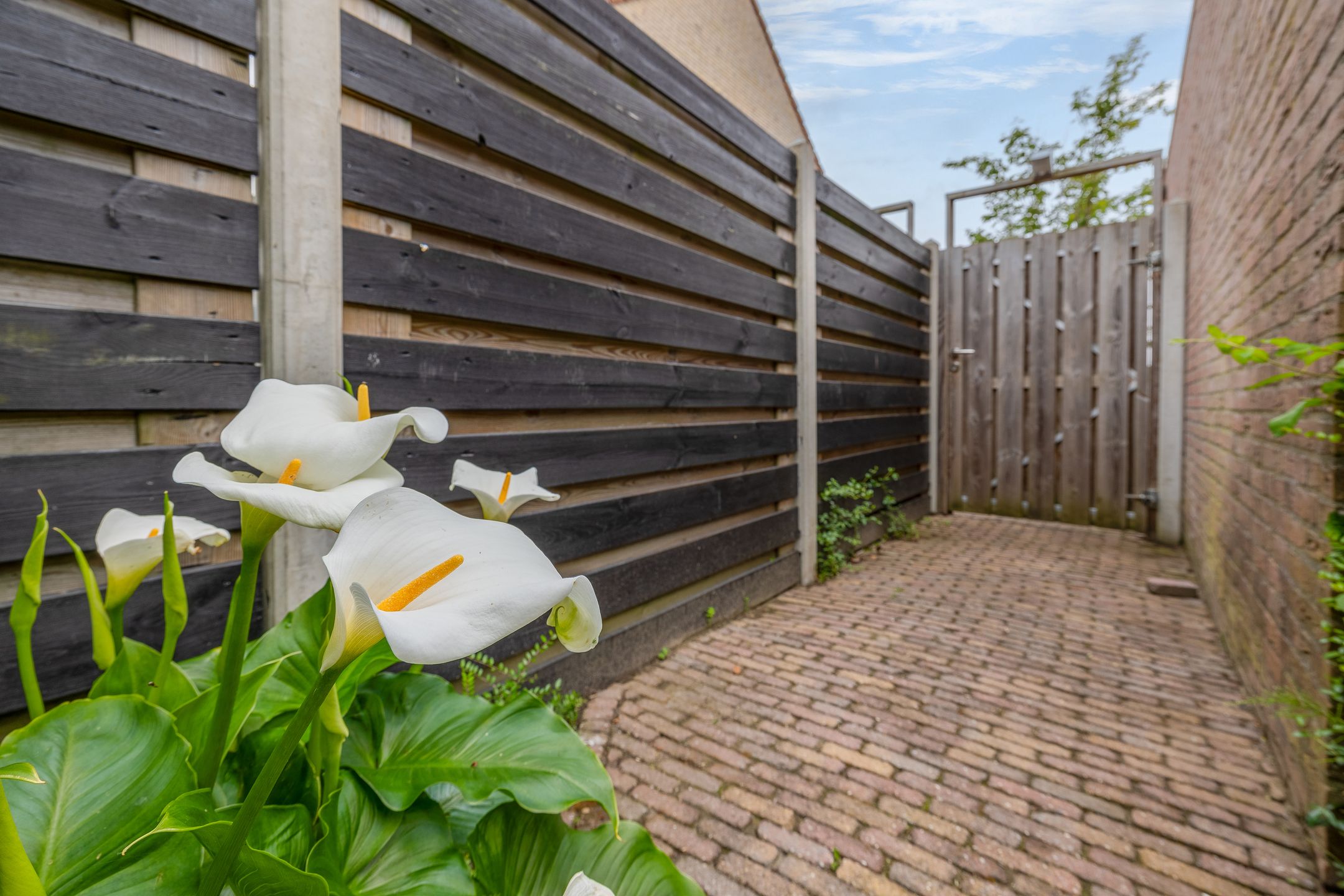 Foto 33 van Dabbestraat 24