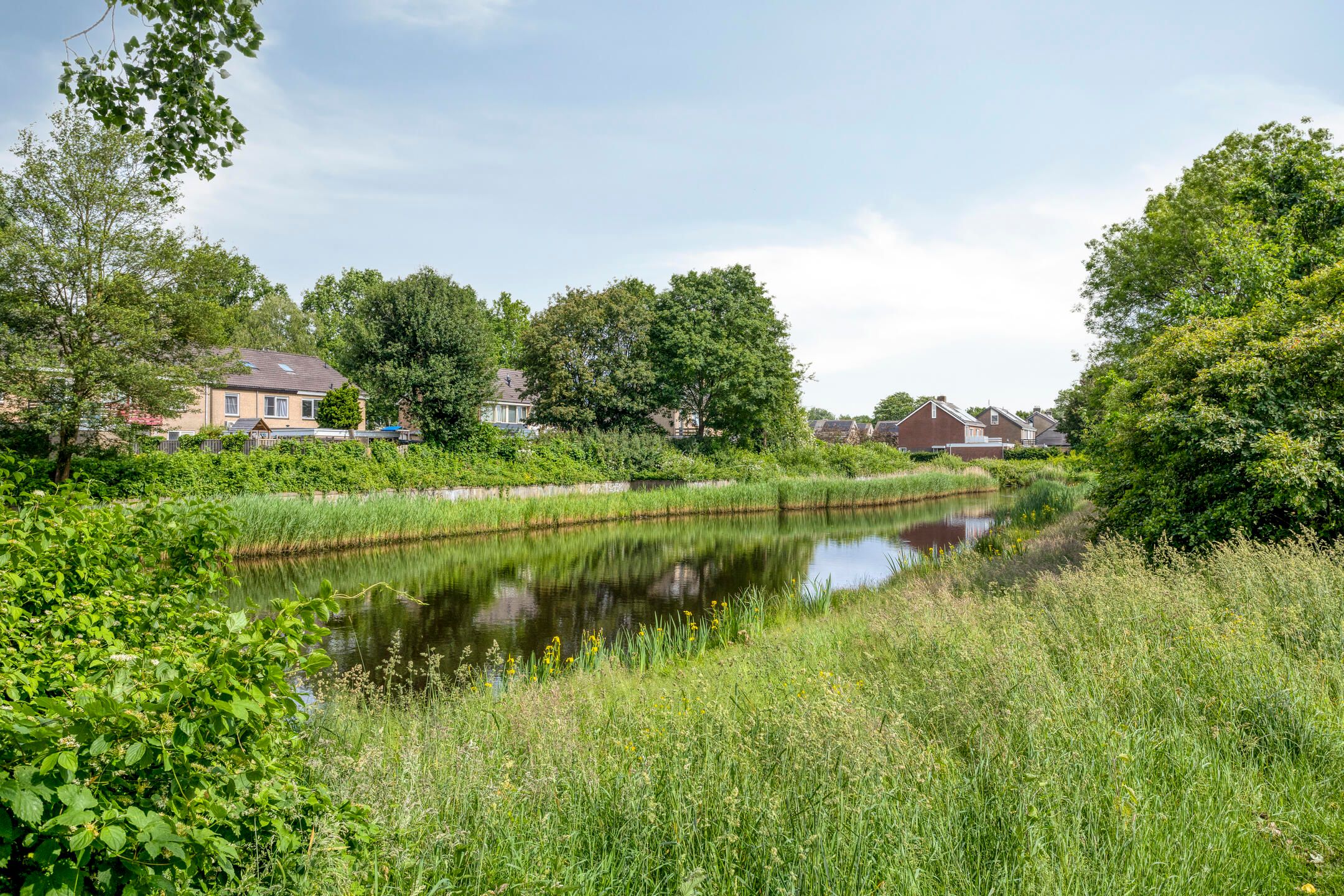 Photo 39 of Molenstraat 309