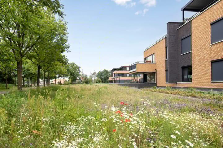 Photo 35 of Wieldijksgaarden 5