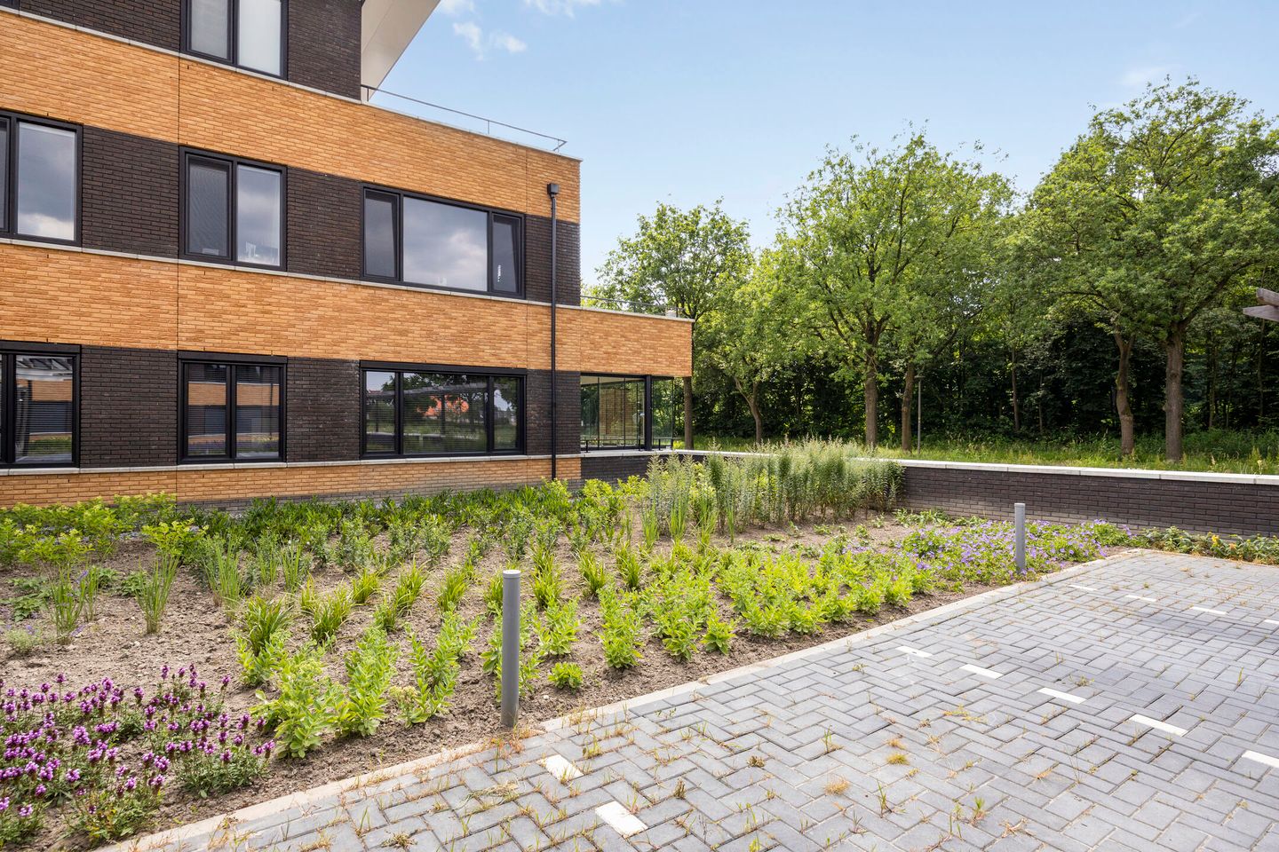 Foto 40 van Wieldijksgaarden 5