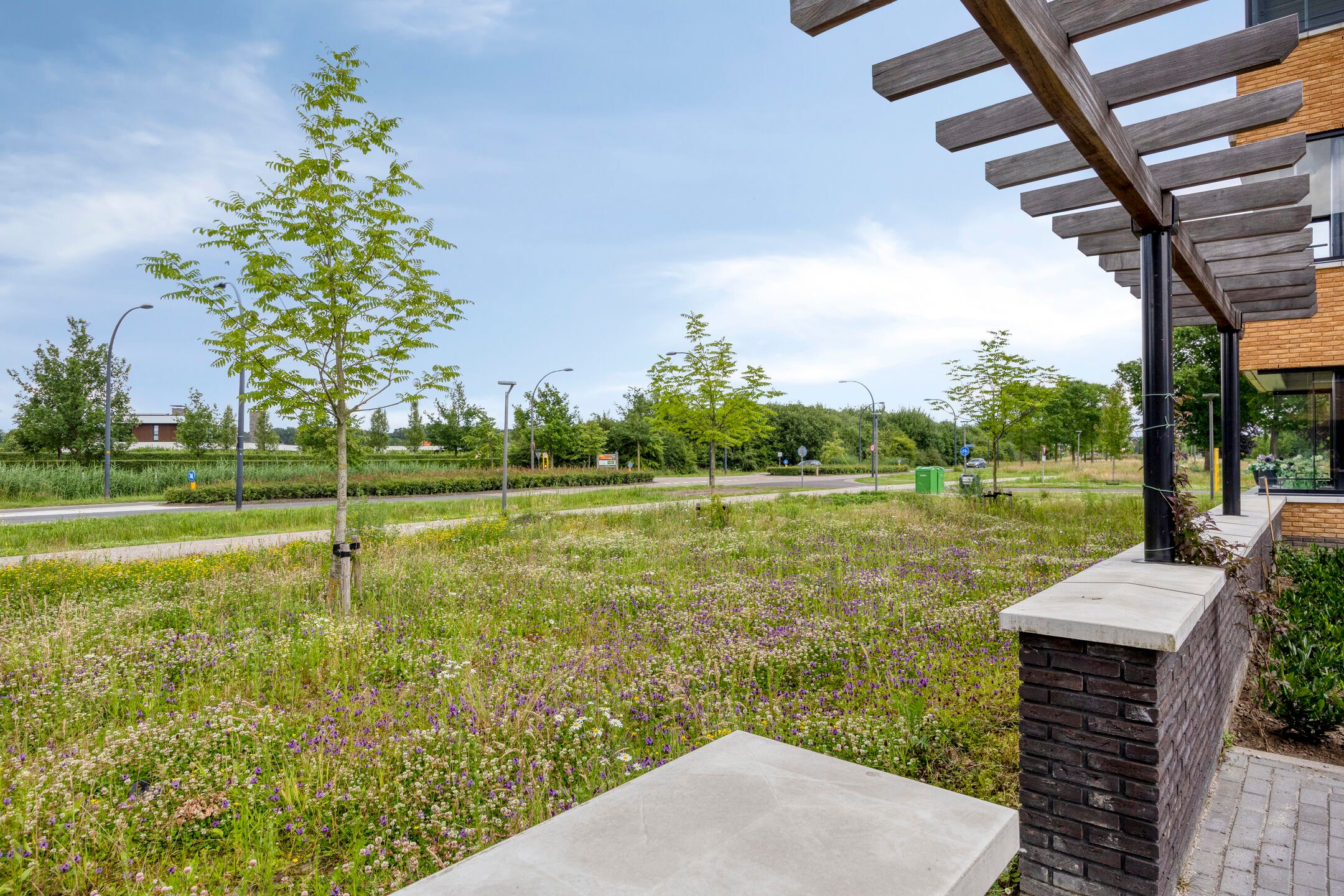 Foto 45 van Wieldijksgaarden 5