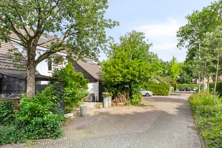 Foto 6 van Anemoonzoom 6