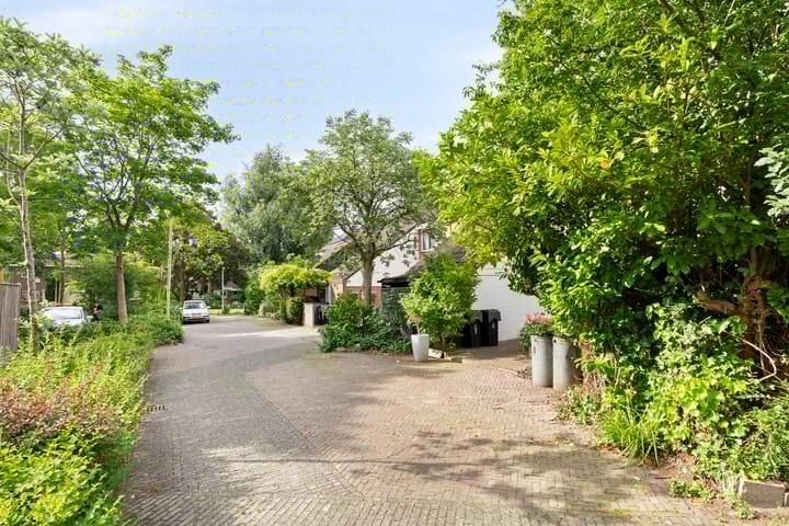 Foto 8 van Anemoonzoom 6