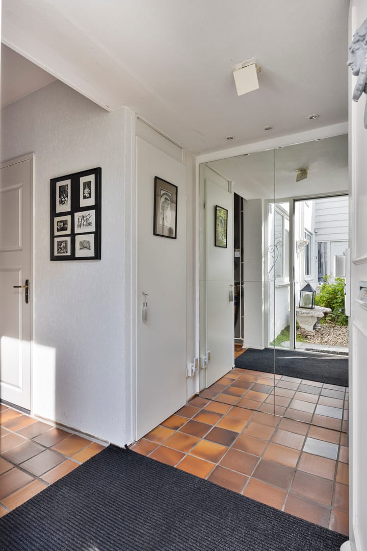 Foto 9 van Anemoonzoom 6