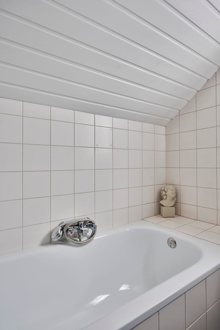 Foto 26 van Anemoonzoom 6