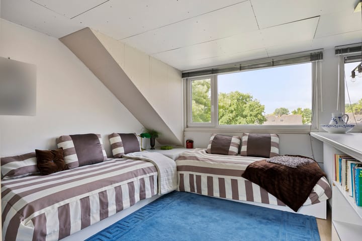 Foto 30 van Anemoonzoom 6