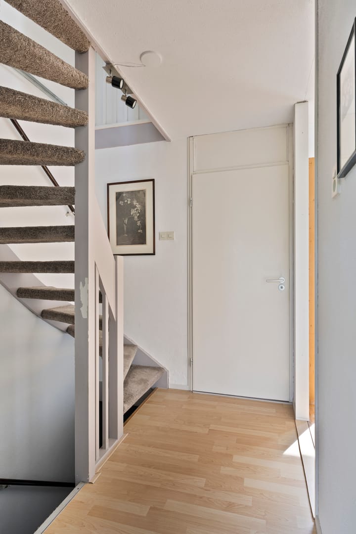 Foto 17 van Anemoonzoom 6