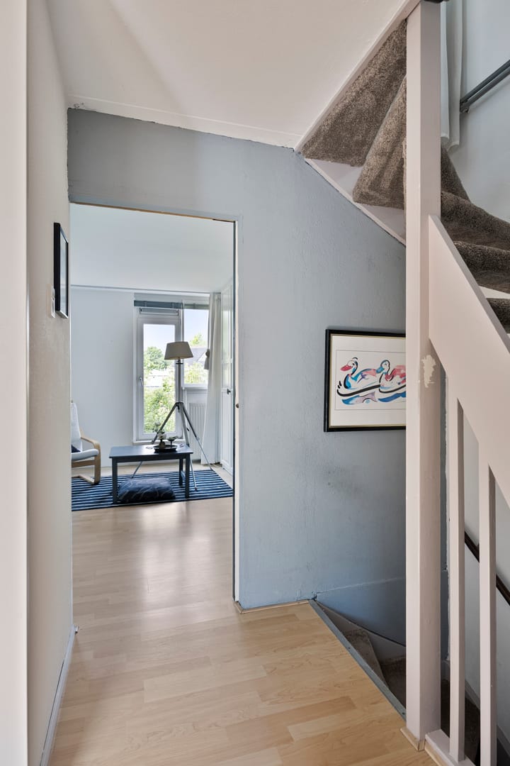 Foto 18 van Anemoonzoom 6