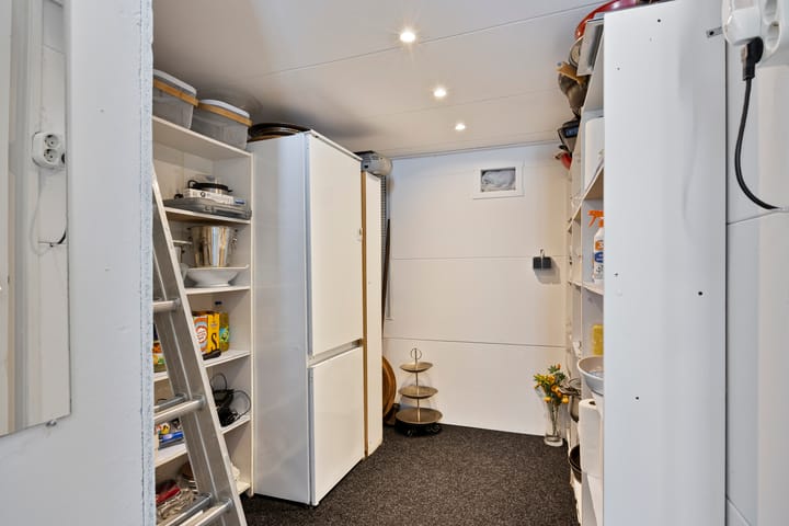 Foto 35 van Anemoonzoom 6