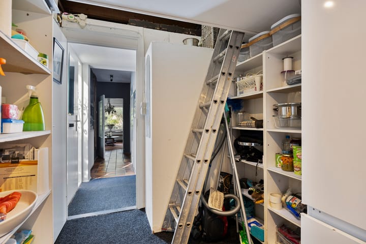 Foto 36 van Anemoonzoom 6