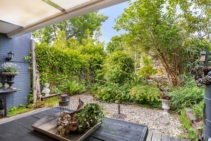 Foto 38 van Anemoonzoom 6