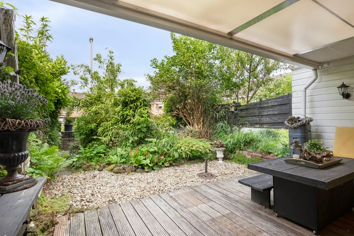 Foto 4 van Anemoonzoom 6