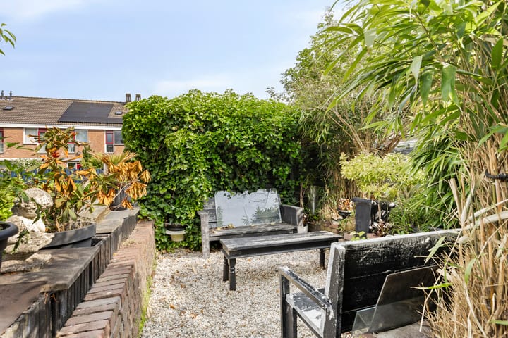 Foto 39 van Anemoonzoom 6