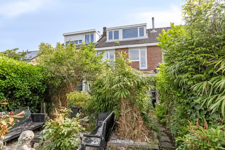 Foto 40 van Anemoonzoom 6