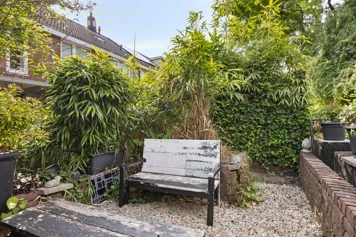 Foto 42 van Anemoonzoom 6