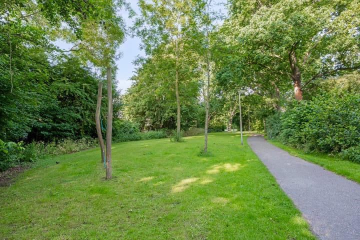 Foto 43 van Anemoonzoom 6