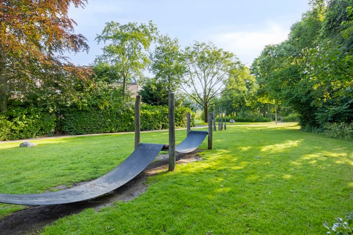 Foto 44 van Anemoonzoom 6