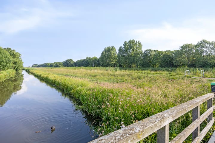 Foto 45 van Anemoonzoom 6