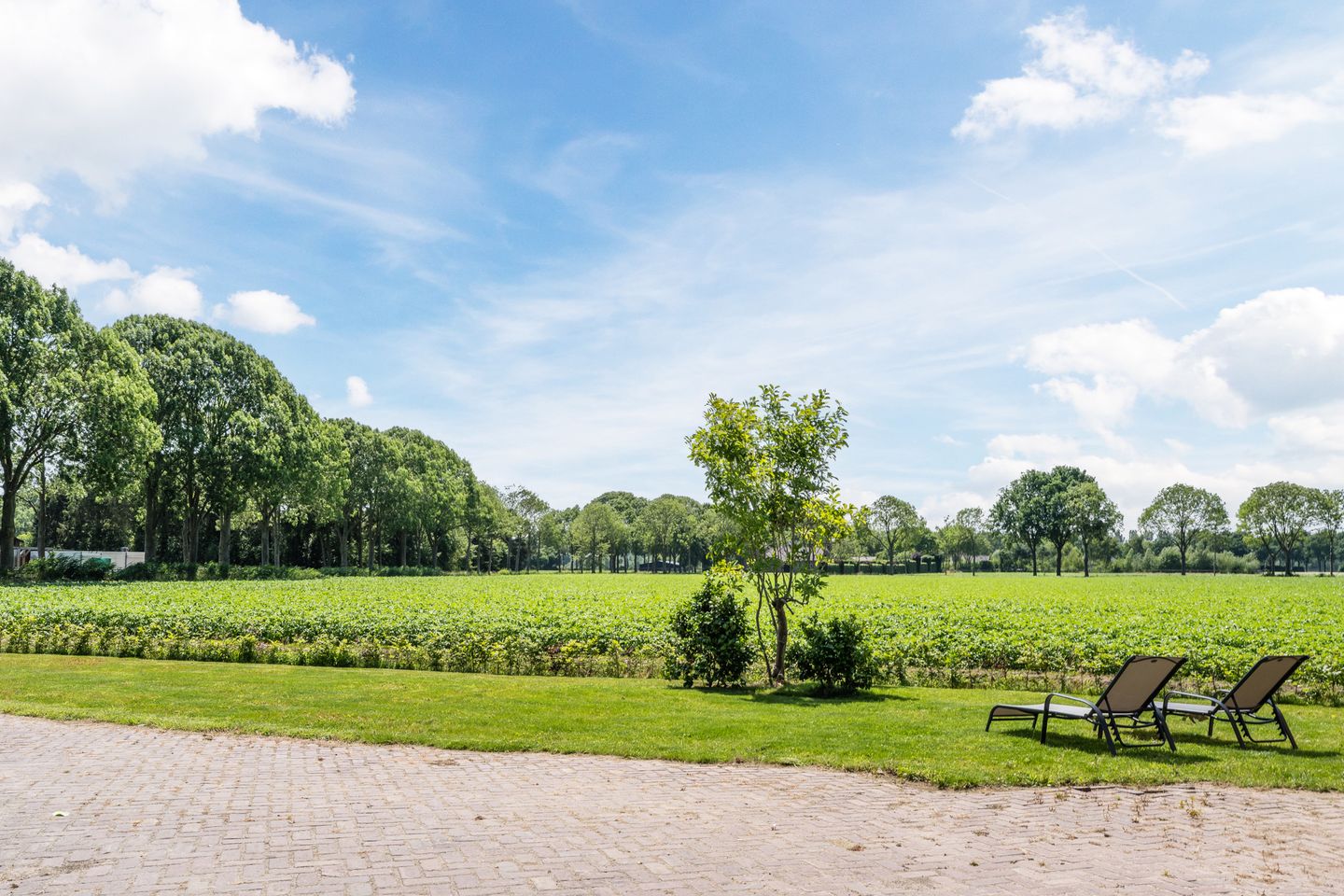 Foto 55 van Lange Kruisdelstraat 5