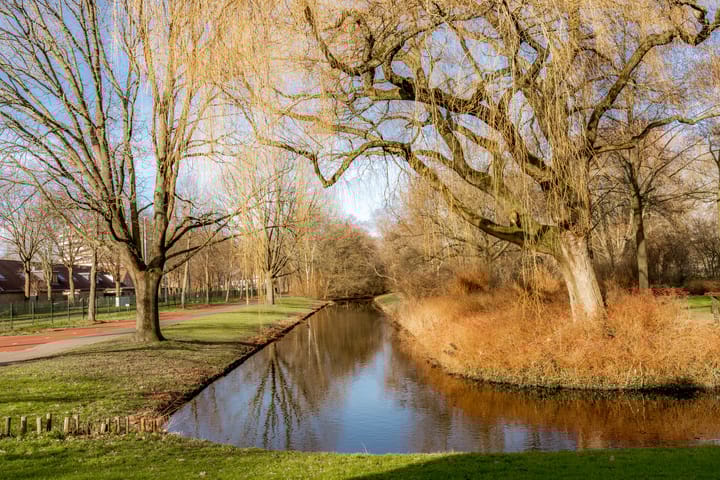 Foto 34 van Dr. Willem Dreesweg 367