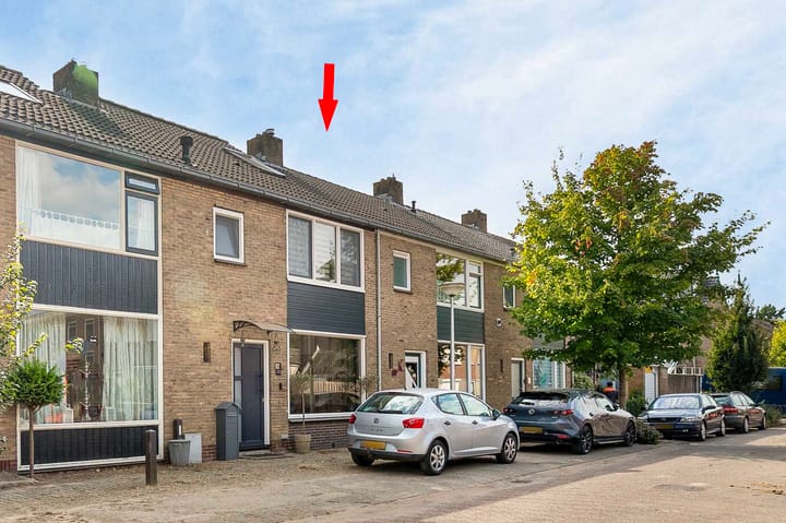 undefined main image