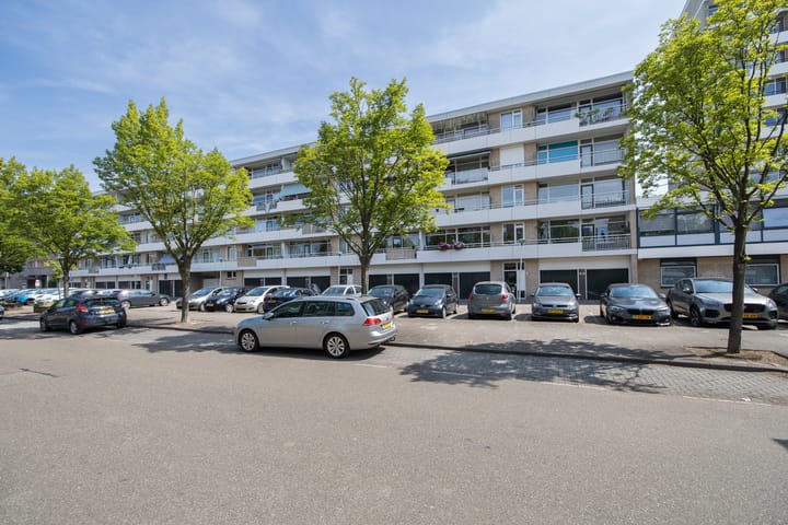 Foto 38 van Livingstonelaan 104