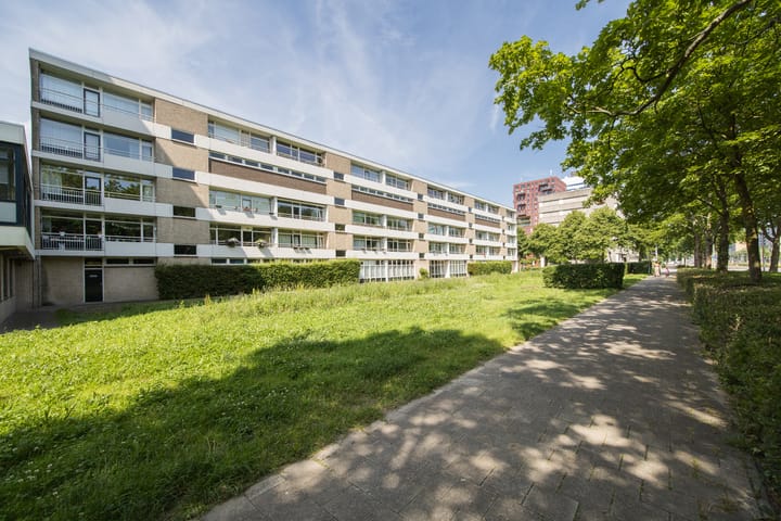 Foto 39 van Livingstonelaan 104