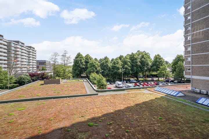 Foto 29 van Forellendaal 988