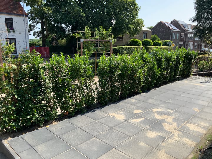 Foto 4 van Klimmenderstraat 71-A