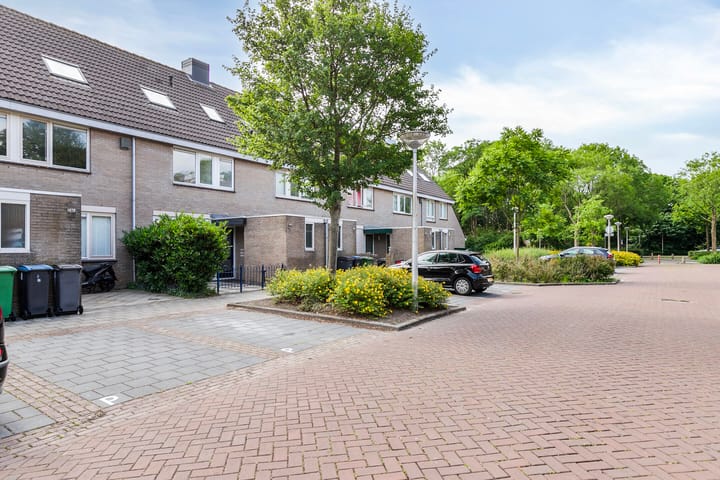 Foto 33 van Praam 248