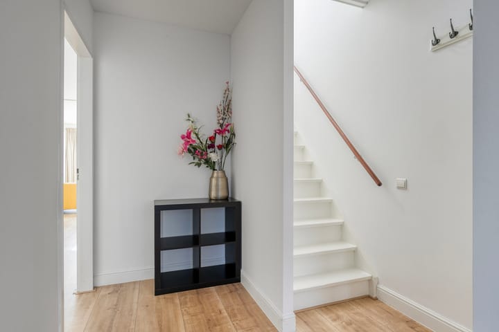 Foto 15 van Praam 248