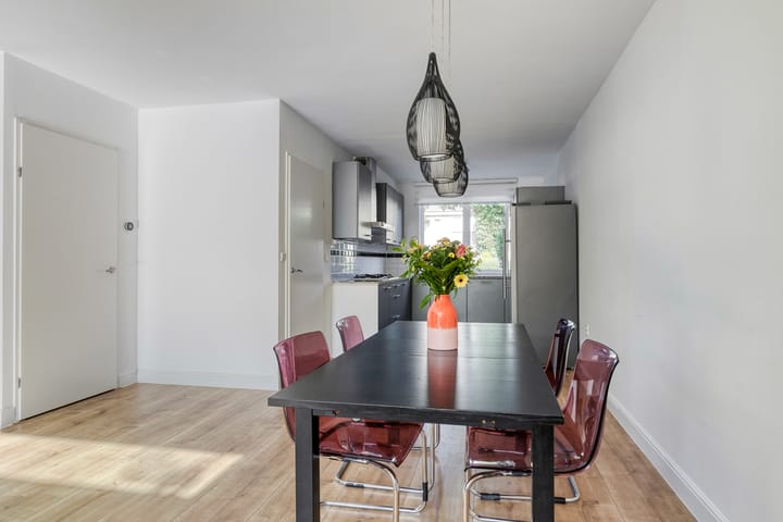 Foto 9 van Praam 248