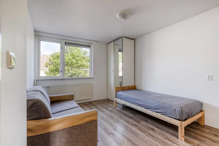 Foto 16 van Praam 248