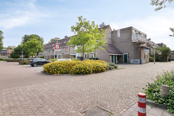 Foto 35 van Praam 248