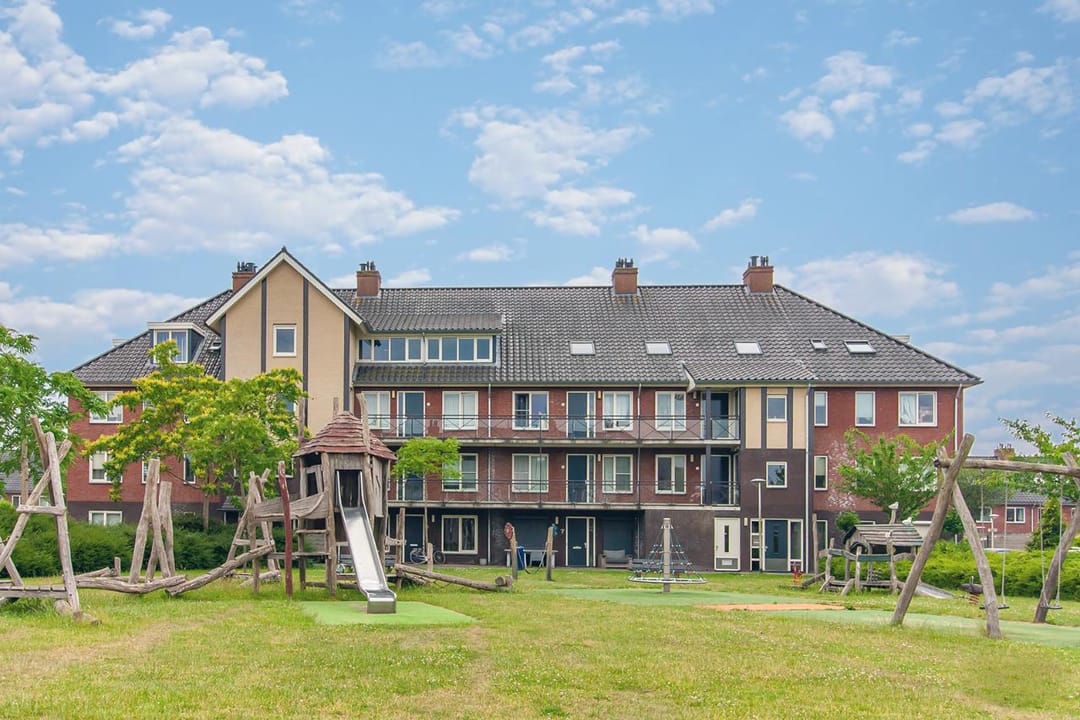 Photo 1 of Ringslang 39