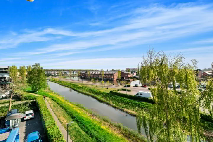 Foto 10 van Lavendelveld 24