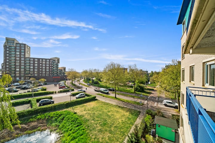 Foto 11 van Lavendelveld 24