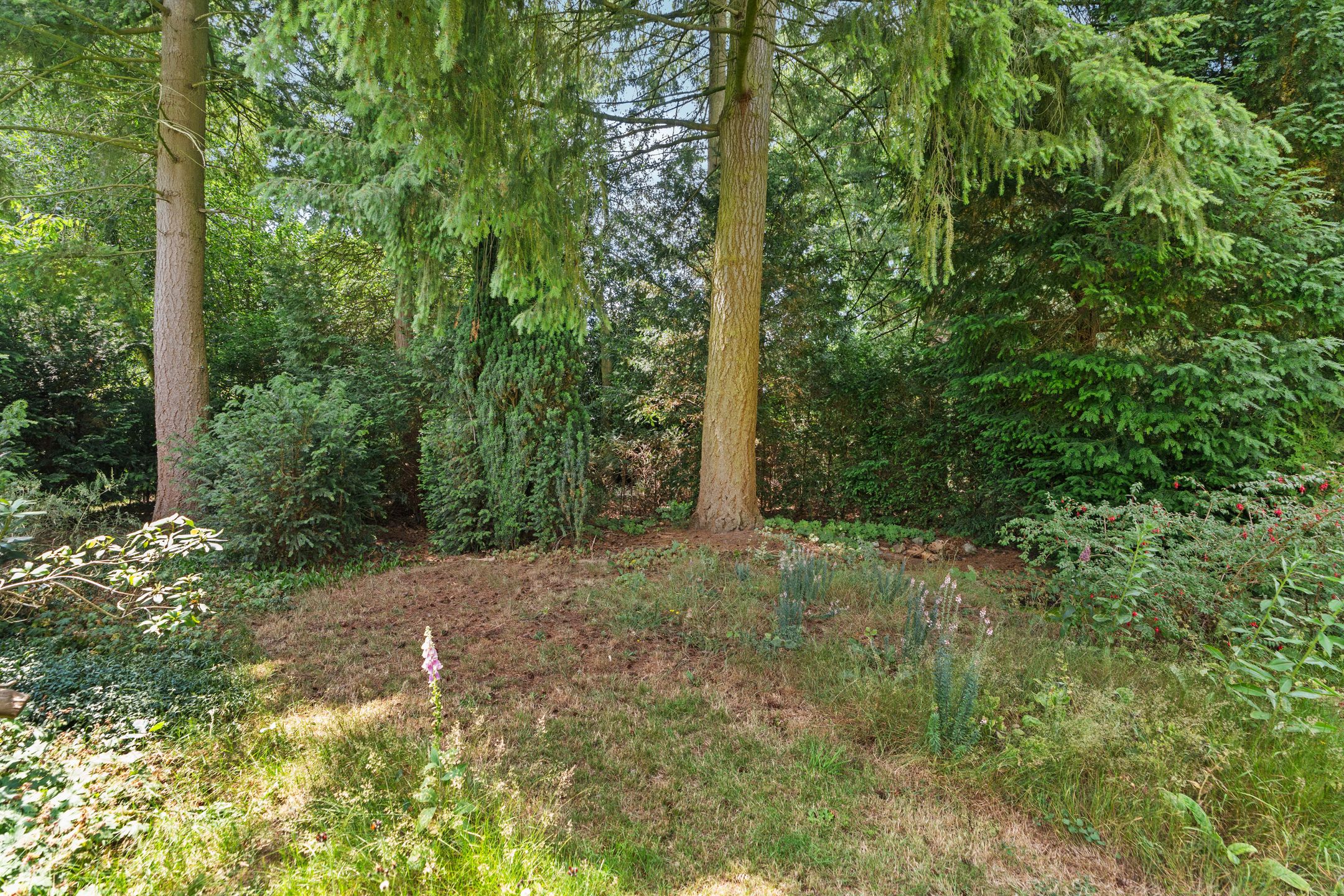 Photo 57 of Wolterbeekweg 15