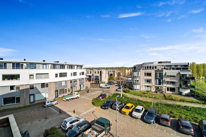 Foto 23 van Lavendelveld 24