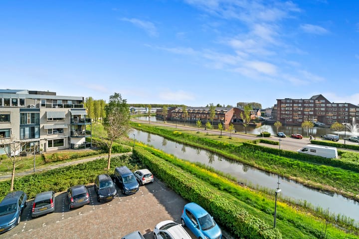 Foto 24 van Lavendelveld 24