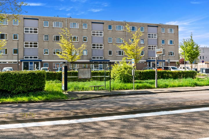 Foto 28 van Lavendelveld 24