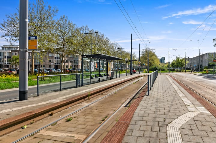 Foto 31 van Lavendelveld 24