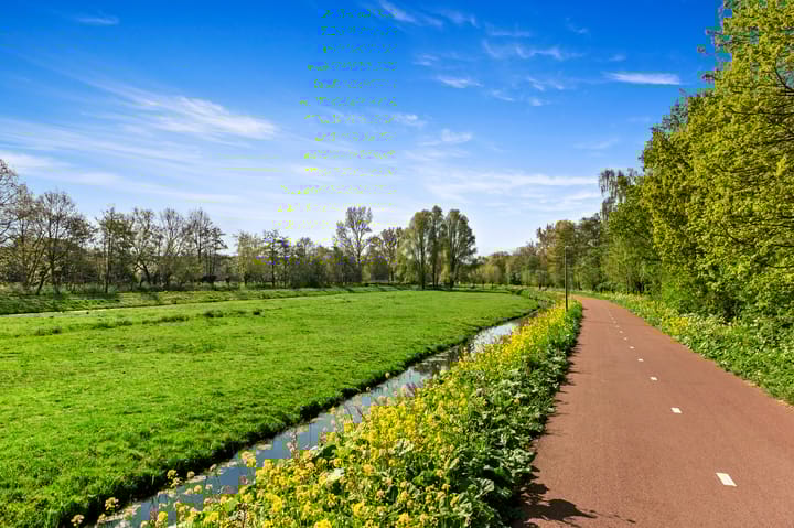 Foto 34 van Lavendelveld 24