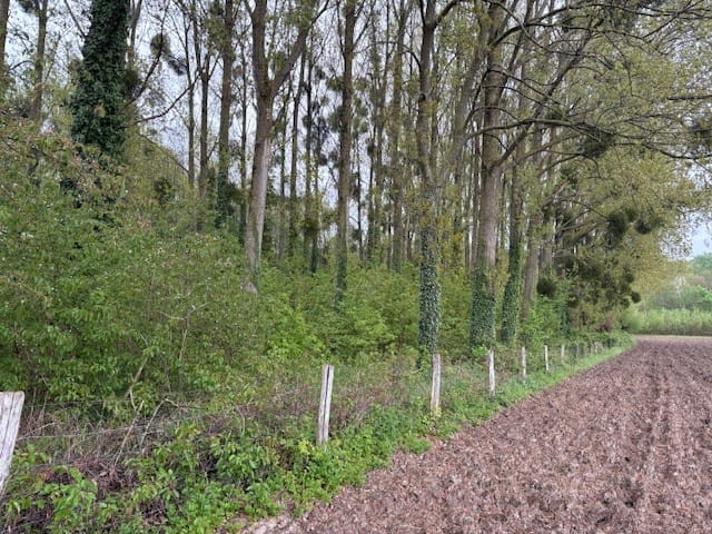 Bekijk foto 2 van Pasweg