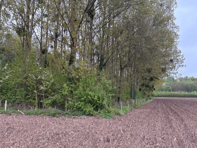 Bekijk foto 4 van Pasweg