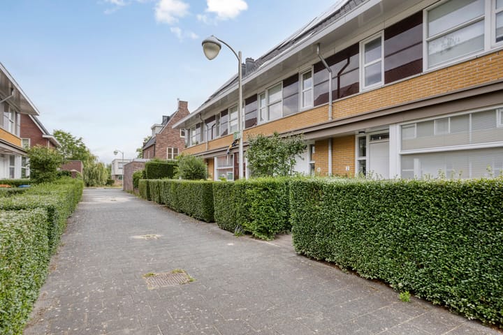 Foto 2 van Gele Zee 4